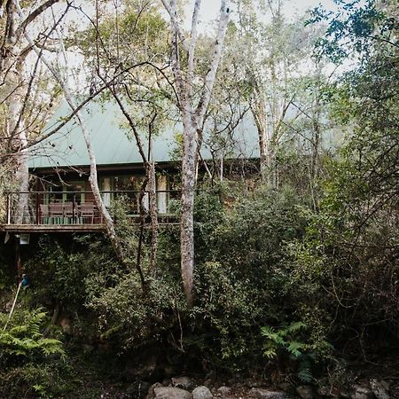 Rockwood Karkloof Forest Lodge & Mountain Cabin Ярроу Экстерьер фото