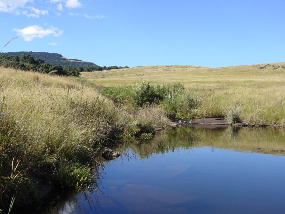 Rockwood Karkloof Forest Lodge & Mountain Cabin Ярроу Экстерьер фото