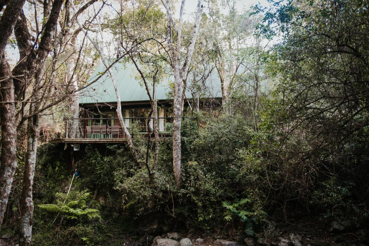 Rockwood Karkloof Forest Lodge & Mountain Cabin Ярроу Экстерьер фото