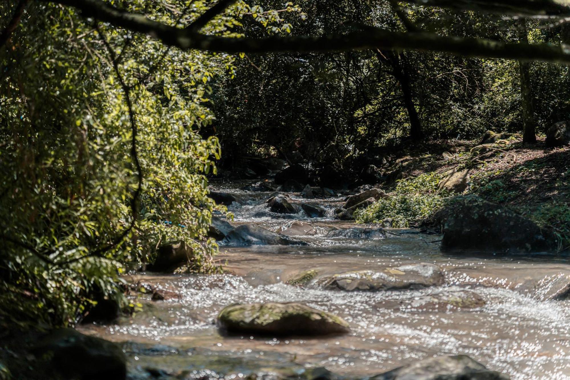 Rockwood Karkloof Forest Lodge & Mountain Cabin Ярроу Экстерьер фото